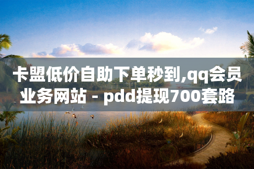 卡盟低价自助下单秒到,qq会员业务网站 - pdd提现700套路最后一步 - 无货源电商软件-第1张图片-靖非智能科技传媒