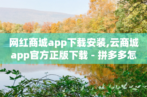 网红商城app下载安装,云商城app官方正版下载 - 拼多多怎么刷助力 - 招财猫拼多多-第1张图片-靖非智能科技传媒