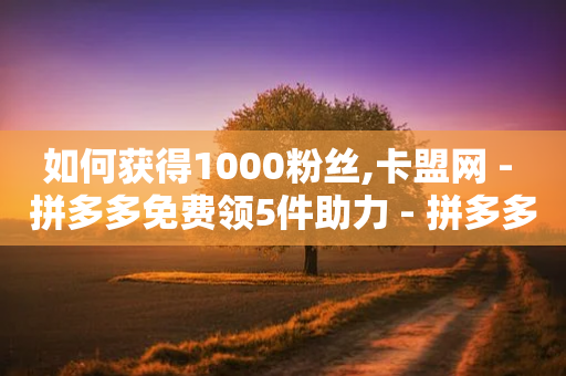 如何获得1000粉丝,卡盟网 - 拼多多免费领5件助力 - 拼多多货源一件代发从哪里找-第1张图片-靖非智能科技传媒