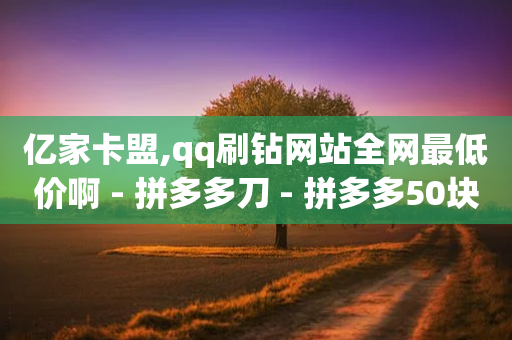 亿家卡盟,qq刷钻网站全网最低价啊 - 拼多多刀 - 拼多多50块钱提现需要多少人-第1张图片-靖非智能科技传媒