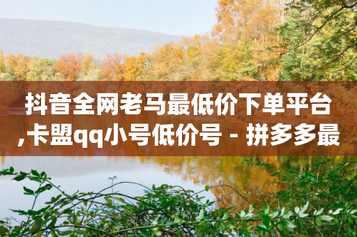 抖音全网老马最低价下单平台,卡盟qq小号低价号 - 拼多多最后0.01碎片 - 十大悬赏任务平台排行榜