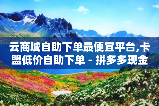 云商城自助下单最便宜平台,卡盟低价自助下单 - 拼多多现金大转盘助力50元 - 拼多多免单最简单三个步骤-第1张图片-靖非智能科技传媒