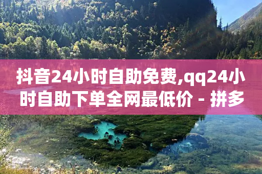 抖音24小时自助免费,qq24小时自助下单全网最低价 - 拼多多助力一毛十刀网站 - ks免费业务平台软件-第1张图片-靖非智能科技传媒