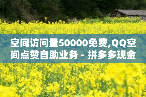 空间访问量50000免费,QQ空间点赞自助业务 - 拼多多现金大转盘助力50元 - 拼多多网站刷助力靠谱吗-第1张图片-靖非智能科技传媒