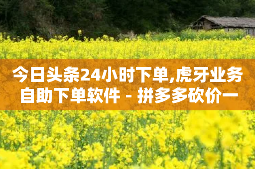 今日头条24小时下单,虎牙业务自助下单软件 - 拼多多砍价一毛十刀网站靠谱吗 - 拼多多自动买东西脚本