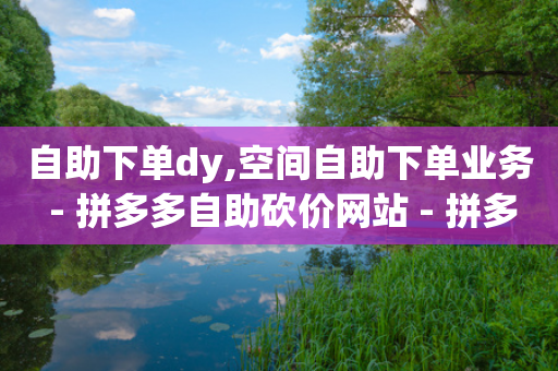 自助下单dy,空间自助下单业务 - 拼多多自助砍价网站 - 拼多多一直在自动铺货-第1张图片-靖非智能科技传媒