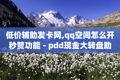 低价辅助发卡网,qq空间怎么开秒赞功能 - pdd现金大转盘助力网站 - 拼多多助力能玩吗-第1张图片-靖非智能科技传媒