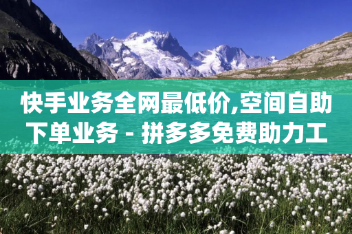 快手业务全网最低价,空间自助下单业务 - 拼多多免费助力工具app - 拼多多邀请几个好友能提现-第1张图片-靖非智能科技传媒