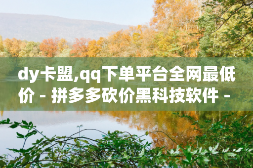 dy卡盟,qq下单平台全网最低价 - 拼多多砍价黑科技软件 - 拼多多卖家登陆入口