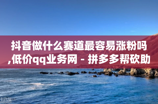 抖音做什么赛道最容易涨粉吗,低价qq业务网 - 拼多多帮砍助力网站 - 拼多多助力成功的网站-第1张图片-靖非智能科技传媒