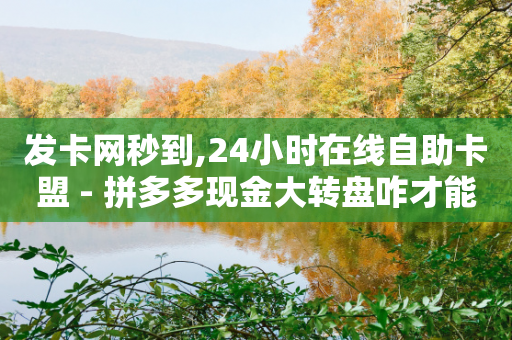 发卡网秒到,24小时在线自助卡盟 - 拼多多现金大转盘咋才能成功 - 砍人免费软件