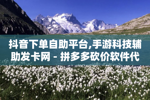 抖音下单自助平台,手游科技辅助发卡网 - 拼多多砍价软件代砍平台 - 淘宝买助力拼多多划算吗-第1张图片-靖非智能科技传媒