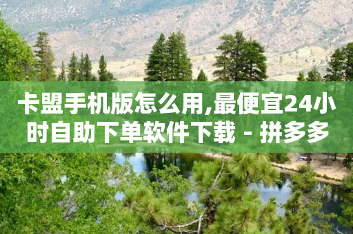 卡盟手机版怎么用,最便宜24小时自助下单软件下载 - 拼多多砍价黑科技软件 - 拼多多助力在线平台-第1张图片-靖非智能科技传媒