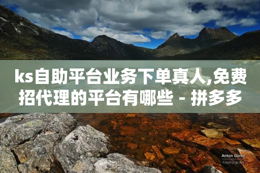 ks自助平台业务下单真人,免费招代理的平台有哪些 - 拼多多大转盘助力网站免费 - 拼多多砍价免单是真的吗?-第1张图片-靖非智能科技传媒