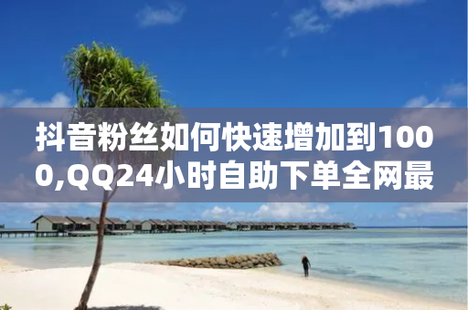 抖音粉丝如何快速增加到1000,QQ24小时自助下单全网最低价 - 24小时砍价助力网 - 人工客服联系方式