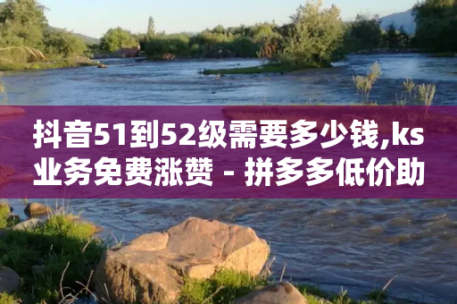 抖音51到52级需要多少钱,ks业务免费涨赞 - 拼多多低价助力 - 拼多多刀具规定