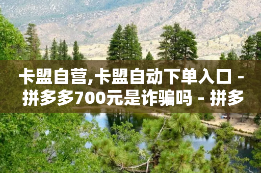 卡盟自营,卡盟自动下单入口 - 拼多多700元是诈骗吗 - 拼多多转盘总是锦鲤附体