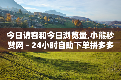 今日访客和今日浏览量,小熊秒赞网 - 24小时自助下单拼多多 - 拼多多差20积分下面还有什么