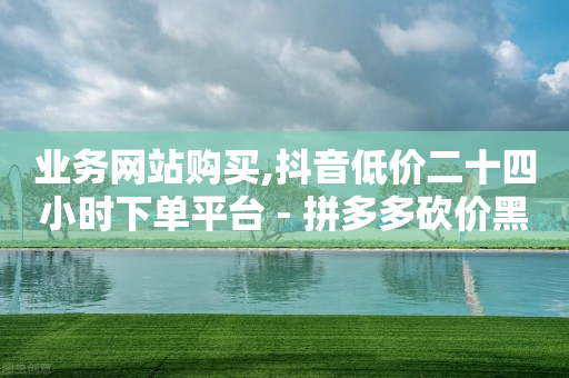 业务网站购买,抖音低价二十四小时下单平台 - 拼多多砍价黑科技软件 - 拼多多的全站推广-第1张图片-靖非智能科技传媒