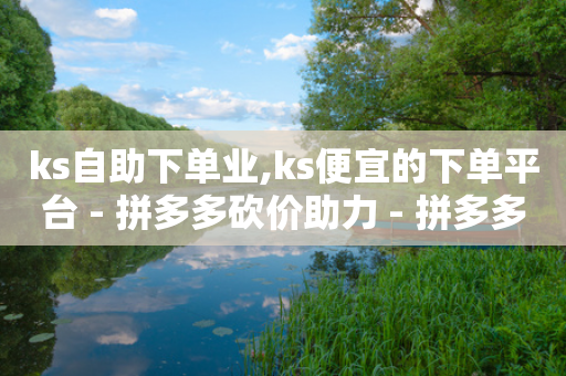 ks自助下单业,ks便宜的下单平台 - 拼多多砍价助力 - 拼多多链接怎么用-第1张图片-靖非智能科技传媒