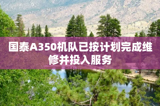 国泰A350机队已按计划完成维修并投入服务-第1张图片-靖非智能科技传媒