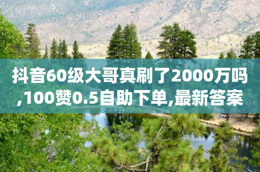 抖音60级大哥真刷了2000万吗,100赞0.5自助下单,最新答案解释落实 _ iPhone34.2.74