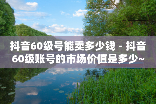 抖音60级号能卖多少钱 - 抖音60级账号的市场价值是多少~-第1张图片-靖非智能科技传媒