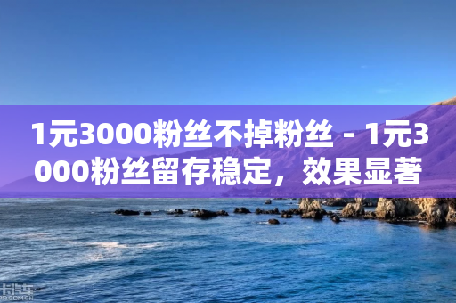 1元3000粉丝不掉粉丝 - 1元3000粉丝留存稳定，效果显著!-第1张图片-靖非智能科技传媒