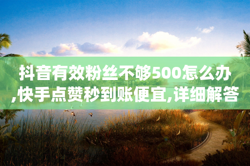 抖音有效粉丝不够500怎么办,快手点赞秒到账便宜,详细解答解释落实 _ iPad33.45.116