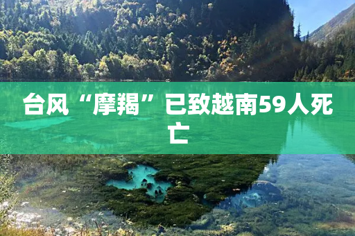 台风“摩羯”已致越南59人死亡-第1张图片-靖非智能科技传媒