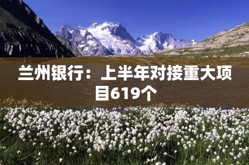 兰州银行：上半年对接重大项目619个-第1张图片-靖非智能科技传媒