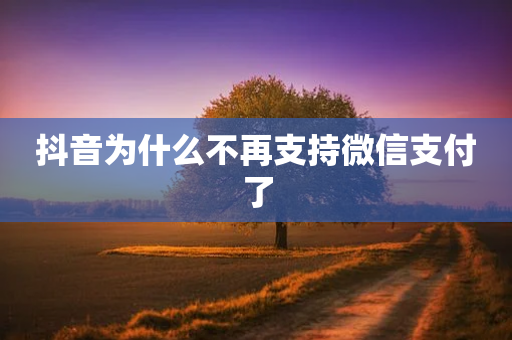 抖音为什么不再支持微信支付了-第1张图片-靖非智能科技传媒