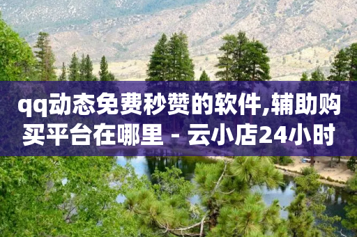 qq动态免费秒赞的软件,辅助购买平台在哪里 - 云小店24小时自助下单 - 拼多多无限刀神器-第1张图片-靖非智能科技传媒