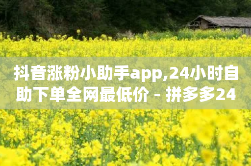 抖音涨粉小助手app,24小时自助下单全网最低价 - 拼多多24小时助力网站 - 拼多多助力一元十刀套路-第1张图片-靖非智能科技传媒