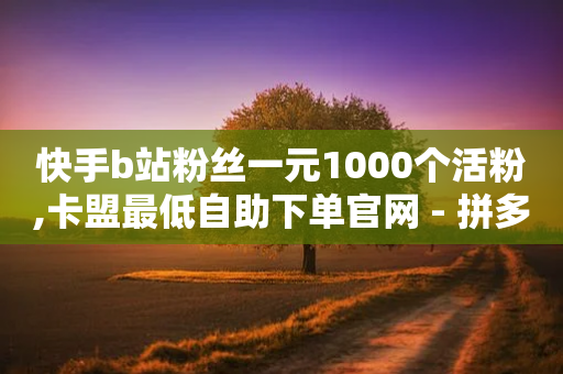 快手b站粉丝一元1000个活粉,卡盟最低自助下单官网 - 拼多多自动下单软件下载 - 拼多多删除登录过的设备-第1张图片-靖非智能科技传媒