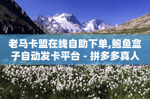 老马卡盟在线自助下单,鲍鱼盒子自动发卡平台 - 拼多多真人助力平台 - 拼多多销量改10万能做起来吗-第1张图片-靖非智能科技传媒