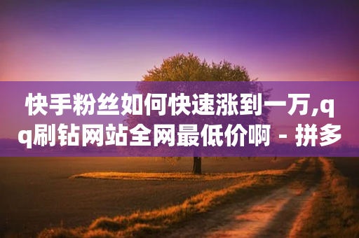 快手粉丝如何快速涨到一万,qq刷钻网站全网最低价啊 - 拼多多黑科技引流推广神器 - 闲鱼pdd助力是真的吗-第1张图片-靖非智能科技传媒