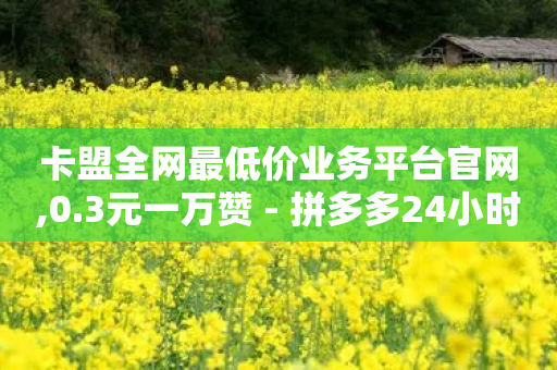 卡盟全网最低价业务平台官网,0.3元一万赞 - 拼多多24小时助力网站 - 拼多多助力互帮团QQ-第1张图片-靖非智能科技传媒