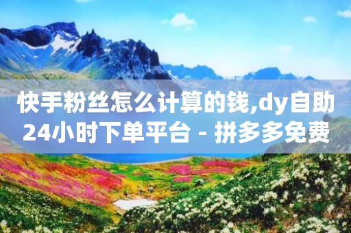 快手粉丝怎么计算的钱,dy自助24小时下单平台 - 拼多多免费领5件助力 - 在线助力