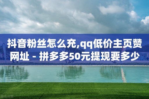 抖音粉丝怎么充,qq低价主页赞网址 - 拼多多50元提现要多少人助力 - 拼多多自动化下单怎么设置-第1张图片-靖非智能科技传媒