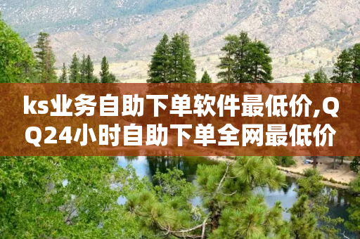 ks业务自助下单软件最低价,QQ24小时自助下单全网最低价 - 拼多多砍价黑科技软件 - 拼多多助力链接平台-第1张图片-靖非智能科技传媒