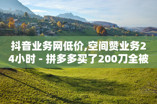 抖音业务网低价,空间赞业务24小时 - 拼多多买了200刀全被吞了 - 拼多多700元助力到元宝了