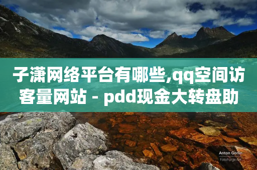 子潇网络平台有哪些,qq空间访客量网站 - pdd现金大转盘助力网站 - 拼多多幸运锦鲤是最后一步吗-第1张图片-靖非智能科技传媒