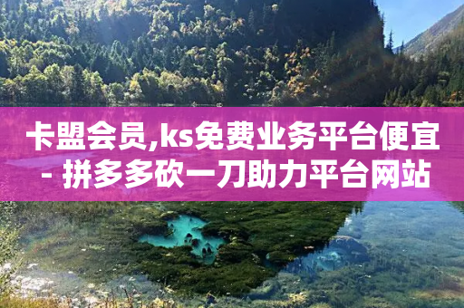 卡盟会员,ks免费业务平台便宜 - 拼多多砍一刀助力平台网站 - 拼多多助力群互助群-第1张图片-靖非智能科技传媒