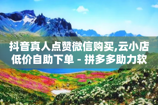 抖音真人点赞微信购买,云小店低价自助下单 - 拼多多助力软件 - 拼多多领现金变容易了-第1张图片-靖非智能科技传媒