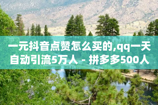 一元抖音点赞怎么买的,qq一天自动引流5万人 - 拼多多500人互助群 - token号刷运费险