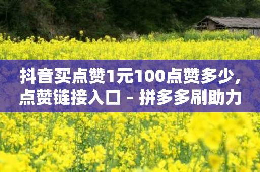 抖音买点赞1元100点赞多少,点赞链接入口 - 拼多多刷助力网站新用户真人 - 给拼多多助力微信会被盗吗-第1张图片-靖非智能科技传媒