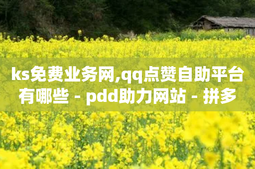 ks免费业务网,qq点赞自助平台有哪些 - pdd助力网站 - 拼多多到最后锦鲤附体是没有了吗