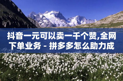 抖音一元可以卖一千个赞,全网下单业务 - 拼多多怎么助力成功 - 拼多多助力最后要多少个元宝-第1张图片-靖非智能科技传媒