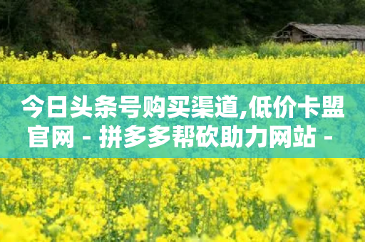 今日头条号购买渠道,低价卡盟官网 - 拼多多帮砍助力网站 - 如何发布带商品的视频-第1张图片-靖非智能科技传媒